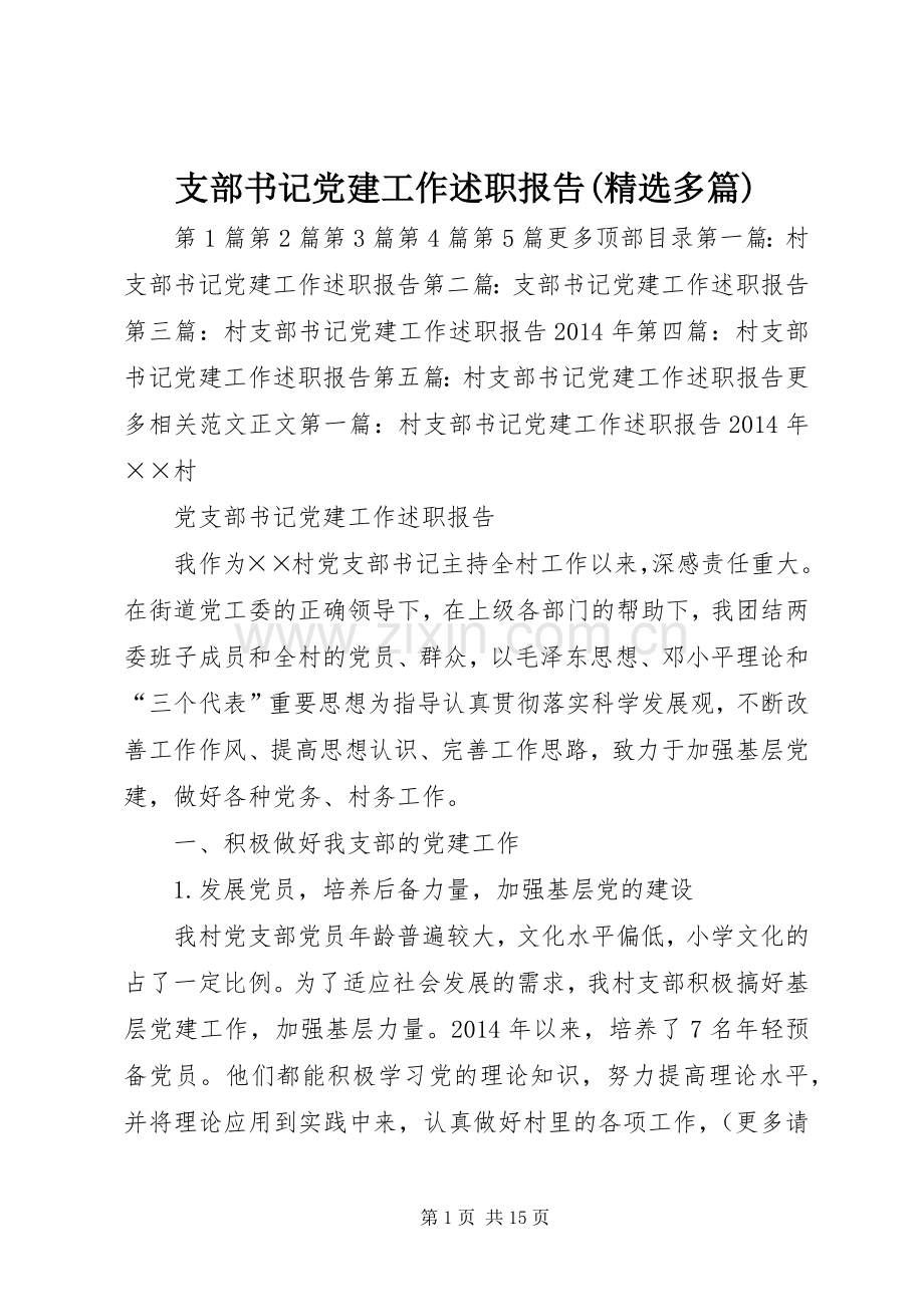 支部书记党建工作述职报告(多篇).docx_第1页