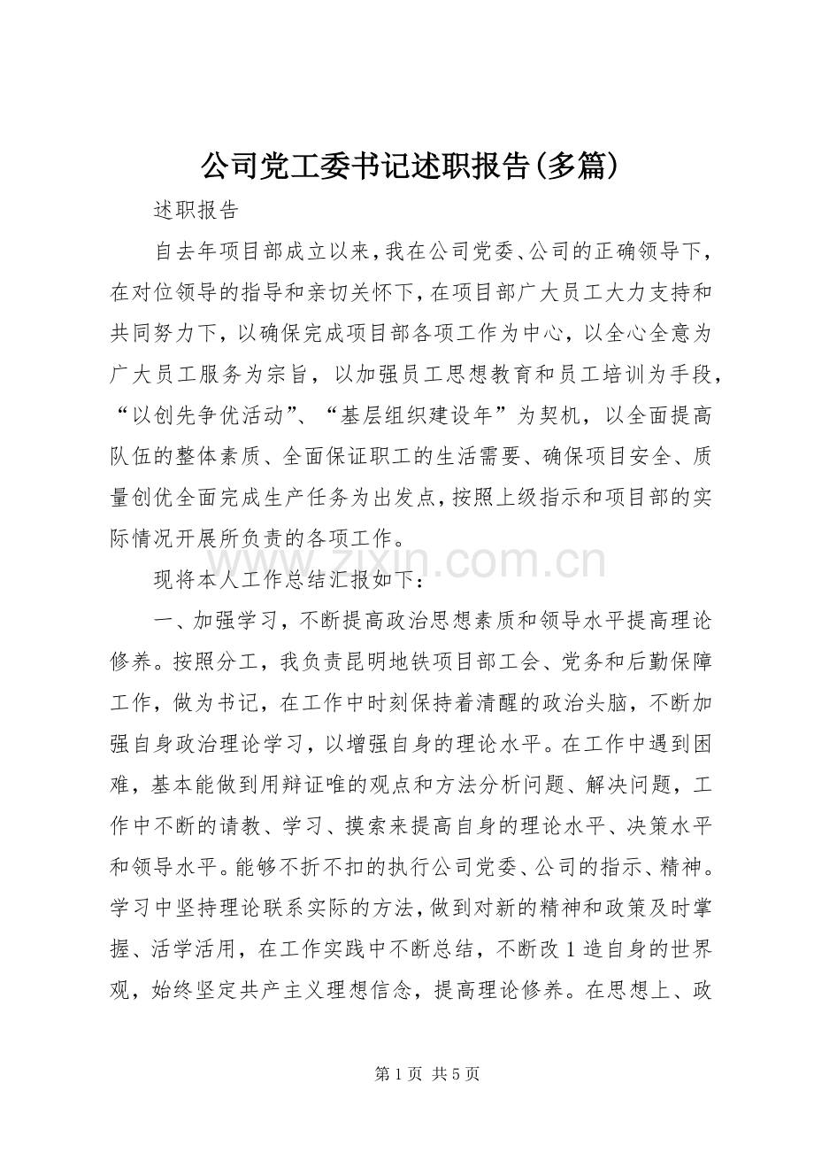 公司党工委书记述职报告(多篇).docx_第1页