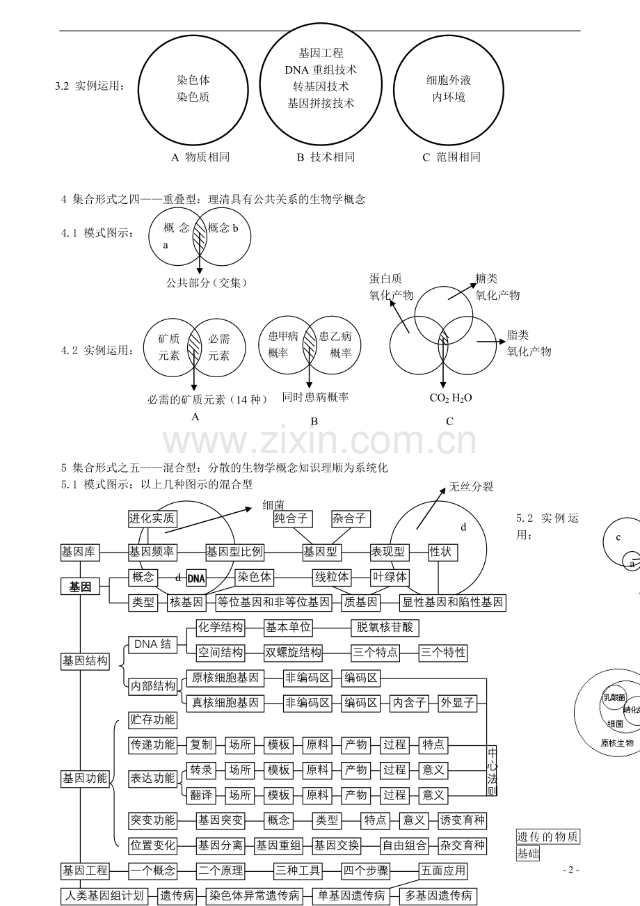 高中生物-图表题之概念图素材.doc_第2页