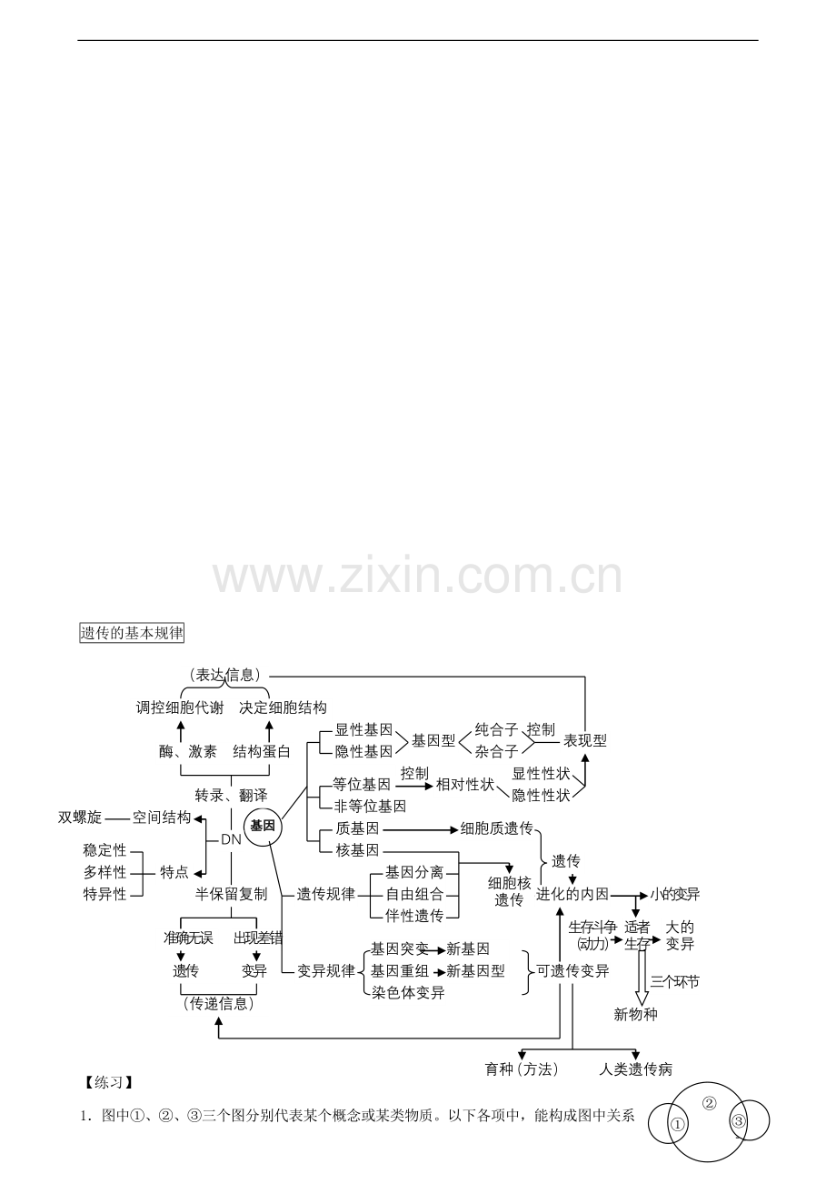 高中生物-图表题之概念图素材.doc_第3页