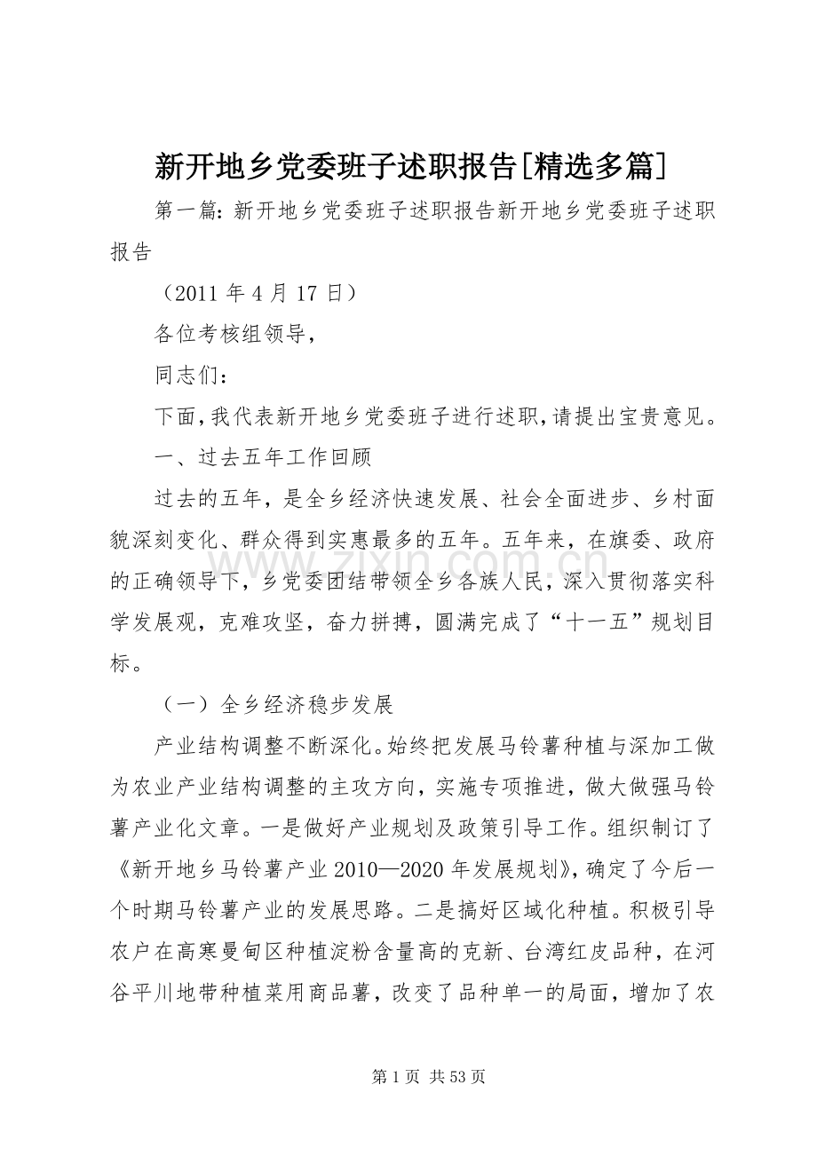 新开地乡党委班子述职报告[多篇].docx_第1页