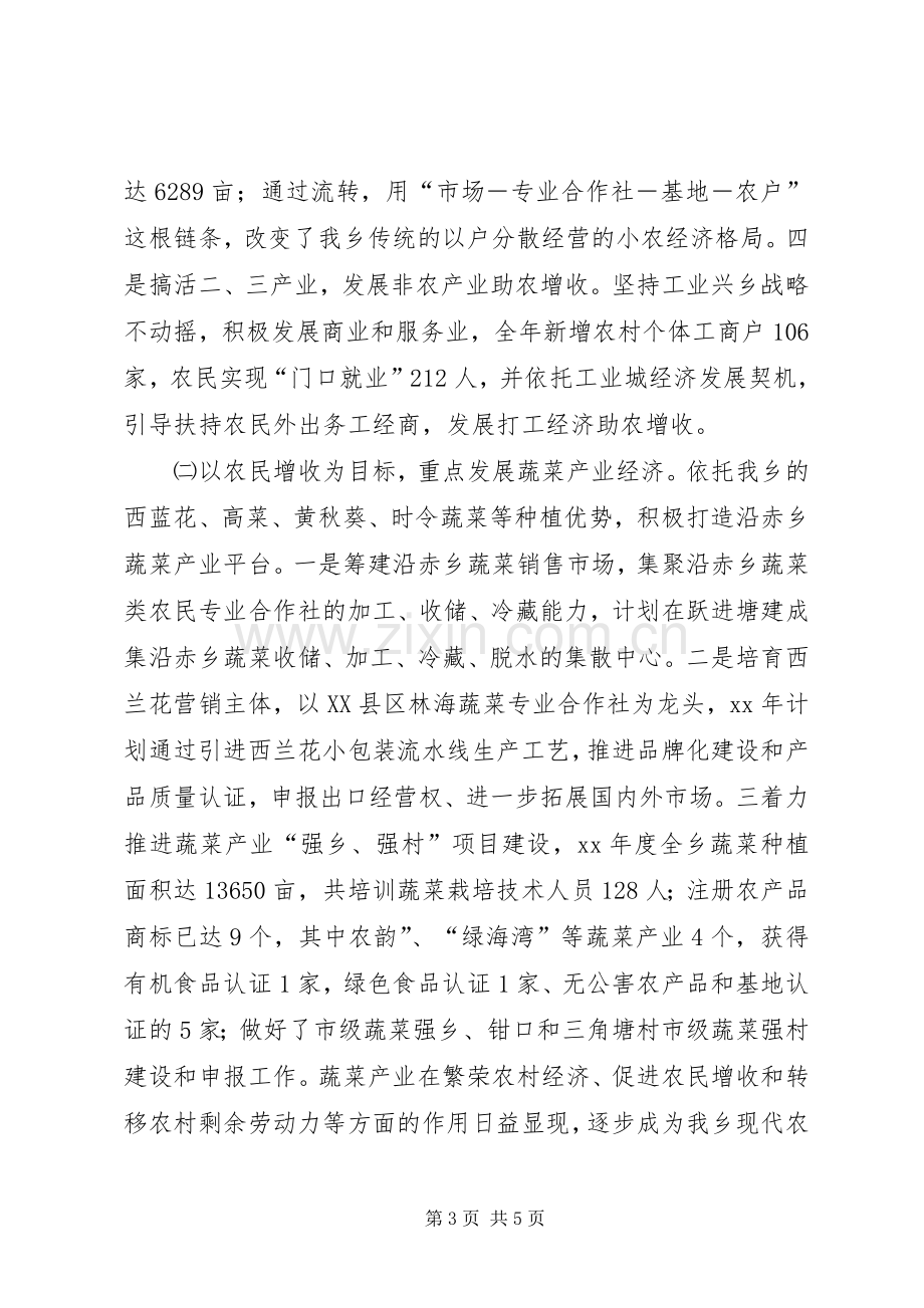 XX年10月乡长述职述廉报告.docx_第3页