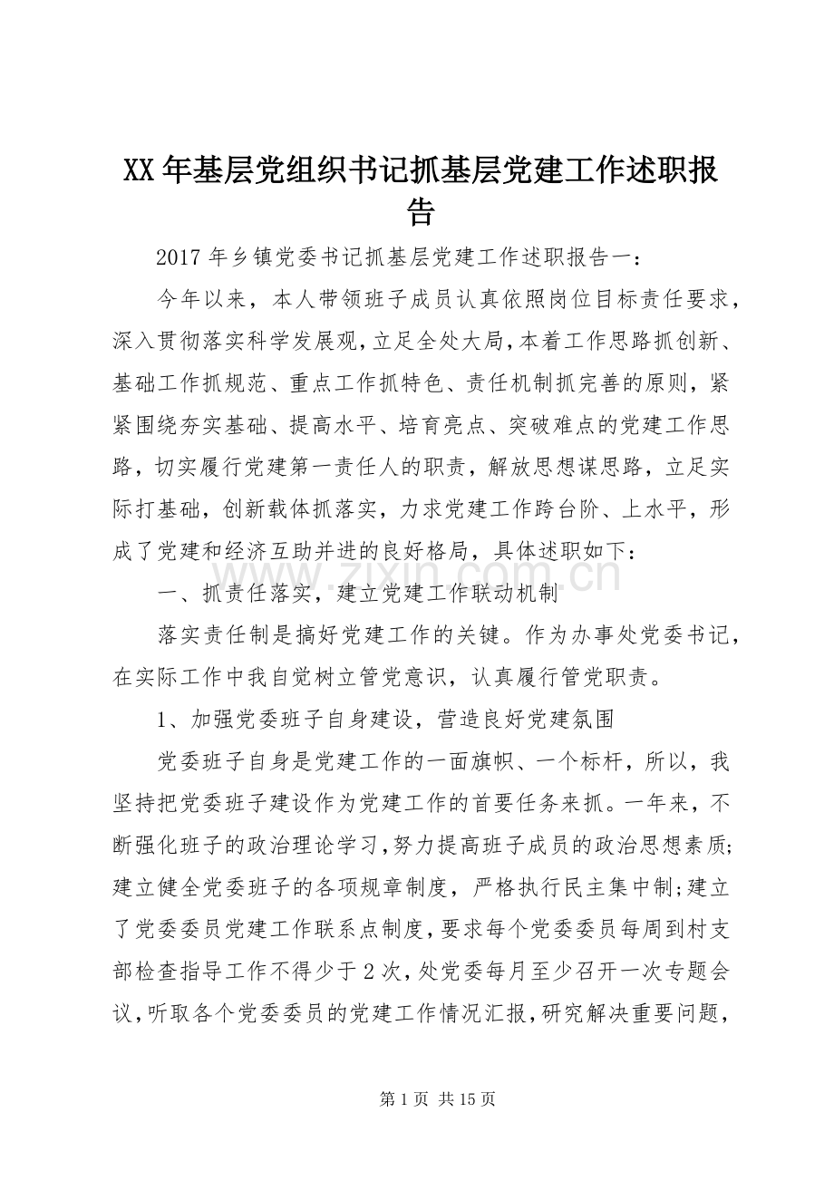 XX年基层党组织书记抓基层党建工作述职报告.docx_第1页