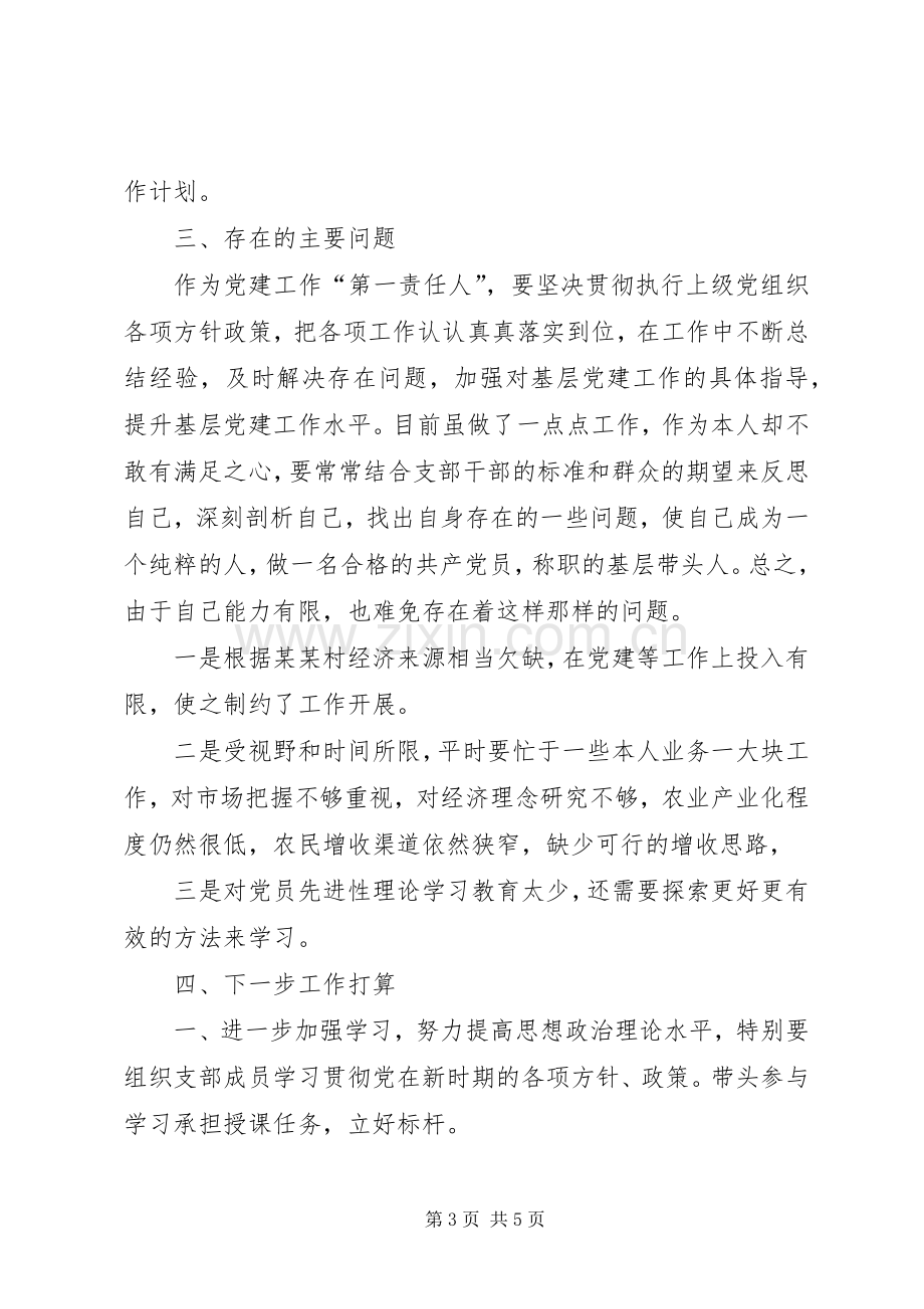 XX年11月党建工作述职报告范文1.docx_第3页