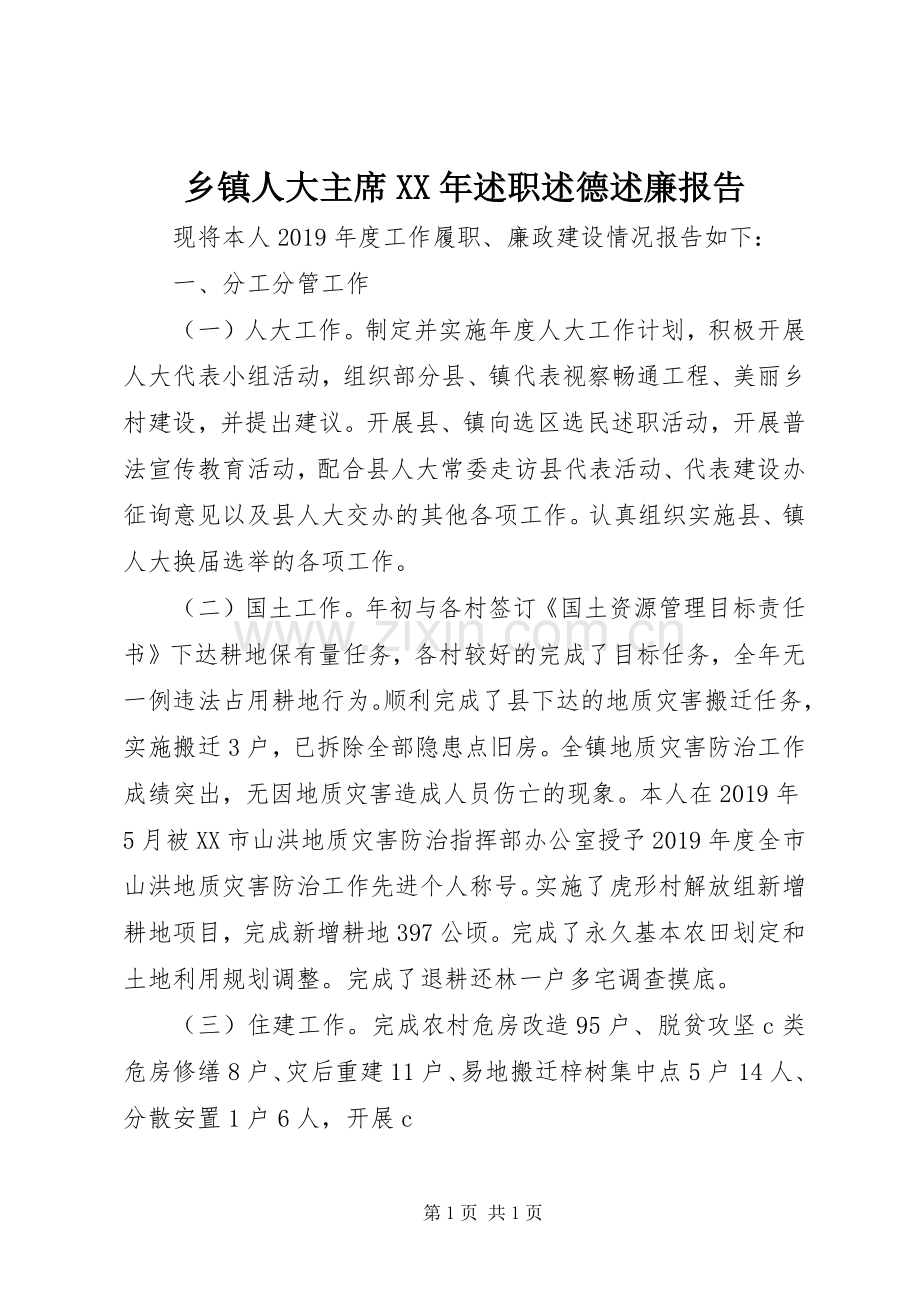 乡镇人大主席XX年述职述德述廉报告.docx_第1页