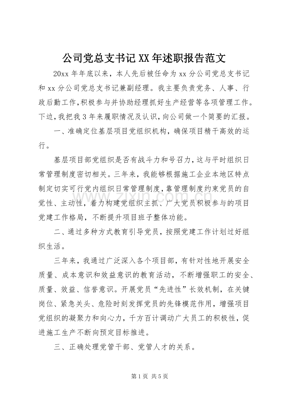 公司党总支书记XX年述职报告范文.docx_第1页