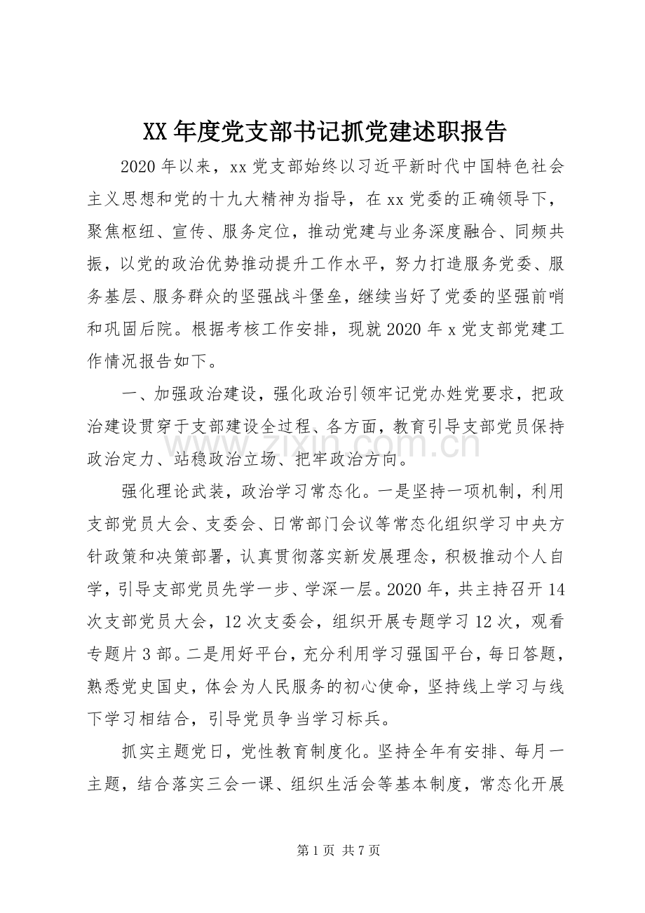 XX年度党支部书记抓党建述职报告.docx_第1页