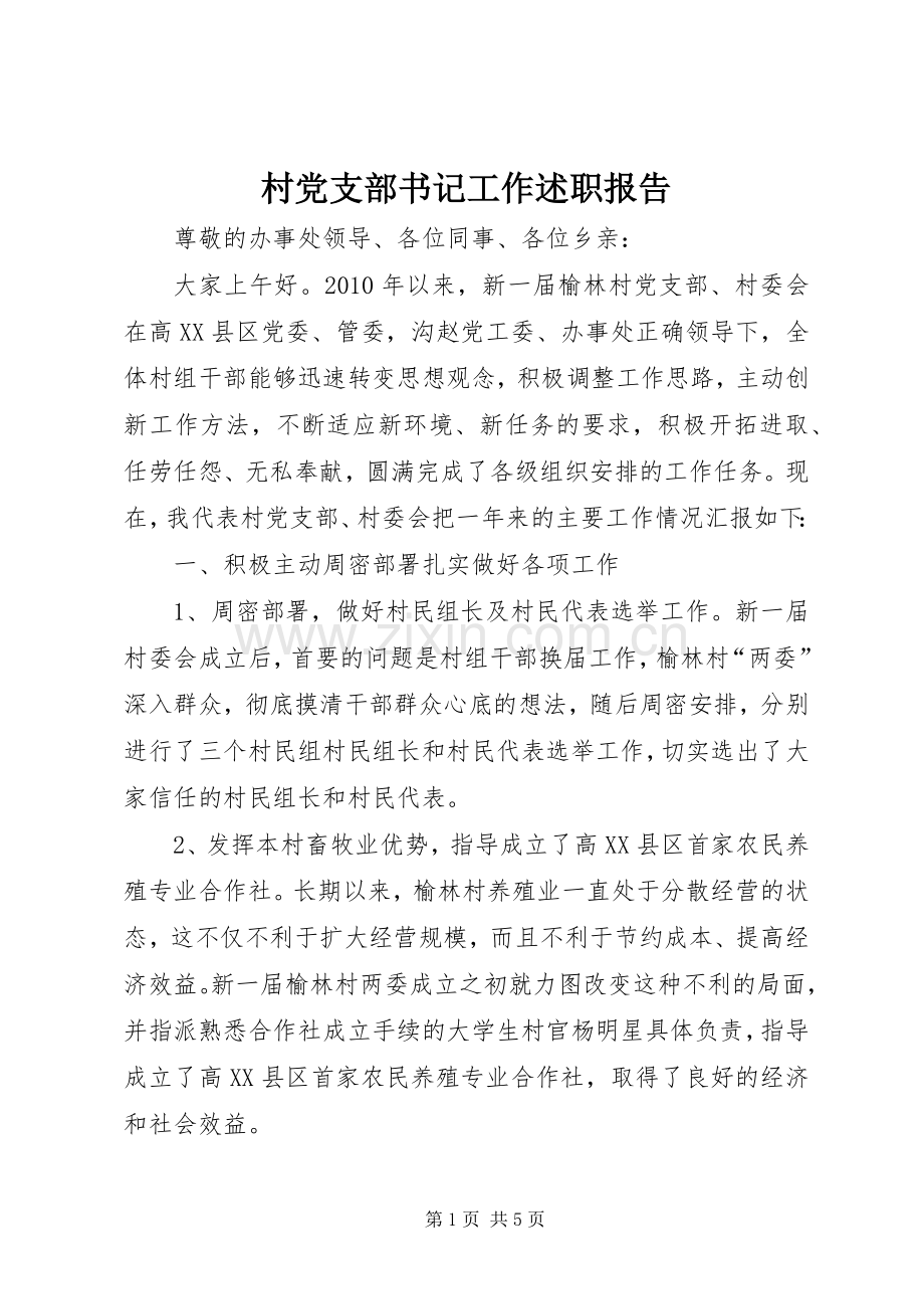 村党支部书记工作述职报告.docx_第1页