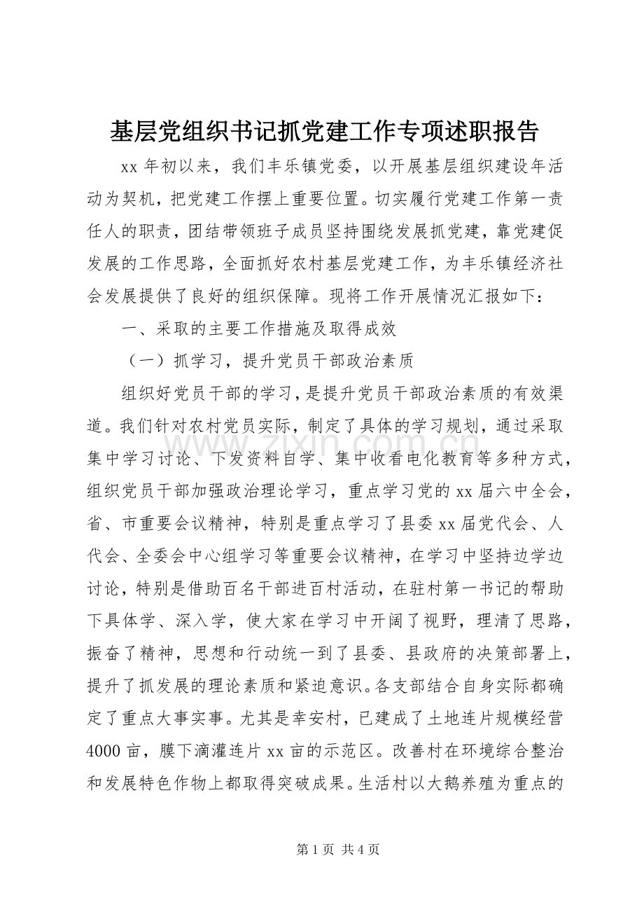 基层党组织书记抓党建工作专项述职报告.docx_第1页