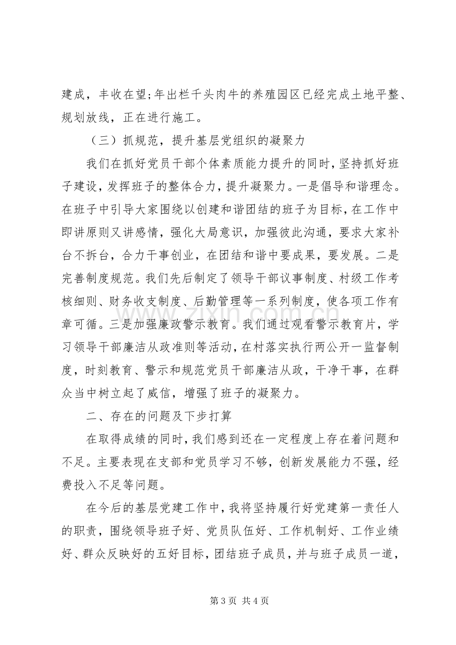 基层党组织书记抓党建工作专项述职报告.docx_第3页