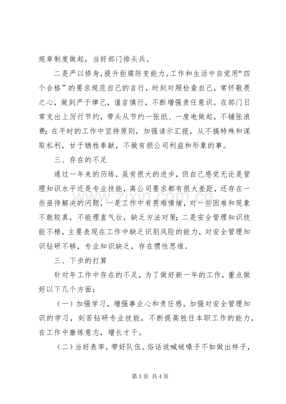 安全生产管理个人述职述廉报告.docx_第3页