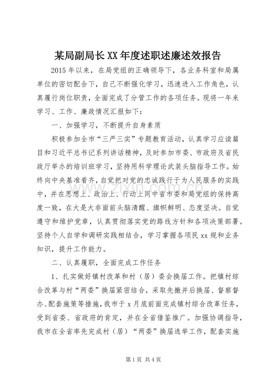 某局副局长XX年度述职述廉述效报告.docx_第1页