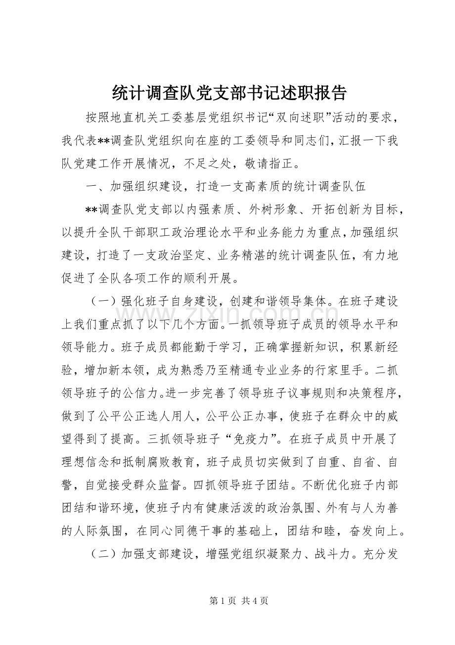 统计调查队党支部书记述职报告.docx_第1页