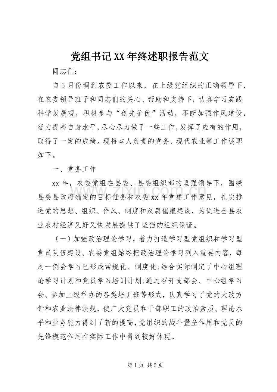 党组书记XX年终述职报告范文.docx_第1页