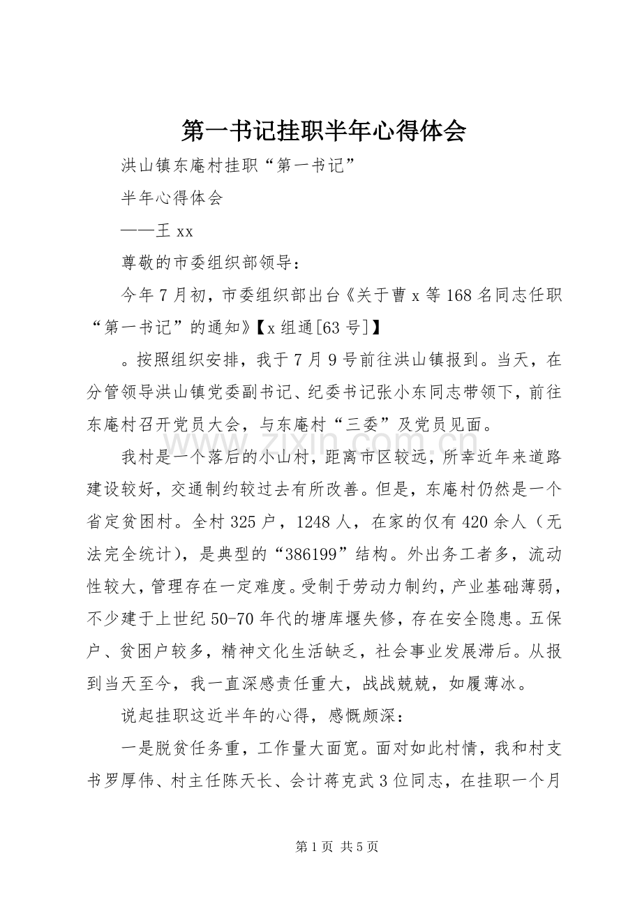 第一书记挂职半年心得体会.docx_第1页