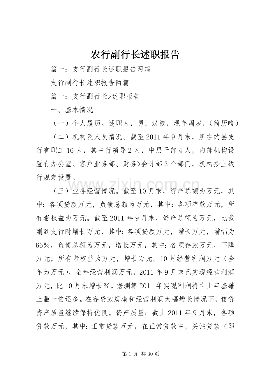 农行副行长述职报告.docx_第1页