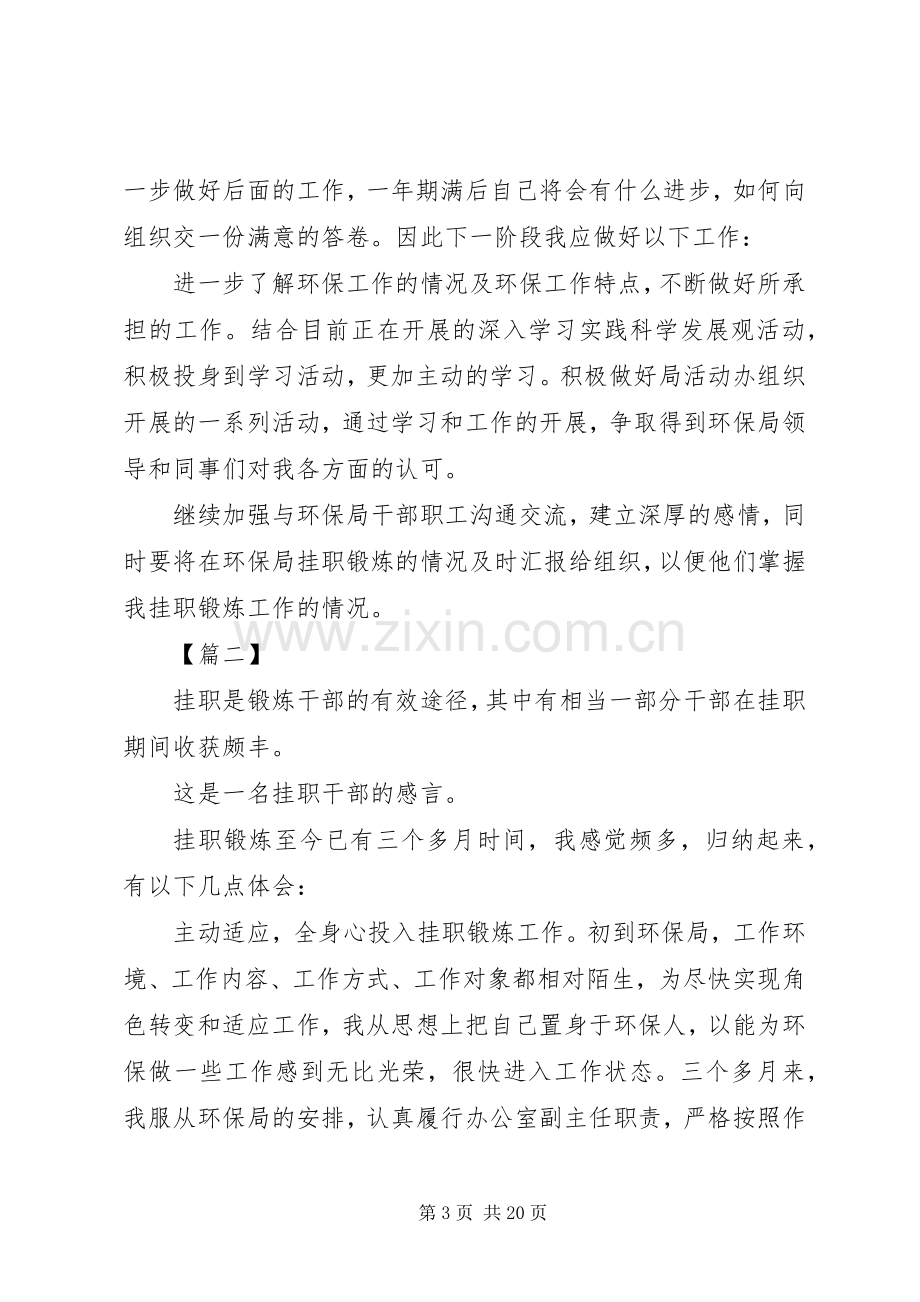 干部挂职锻炼心得体会七篇.docx_第3页