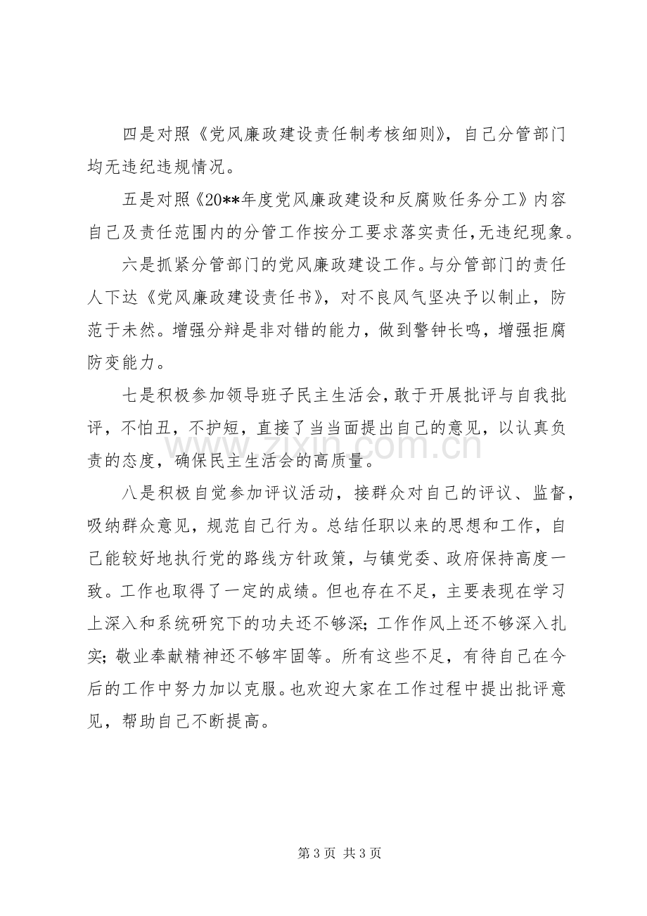 镇人大副主席述廉报告.docx_第3页