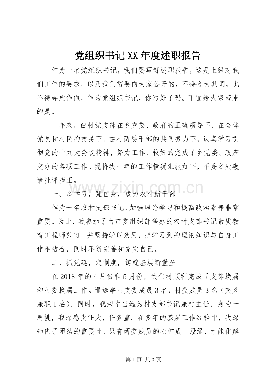 党组织书记XX年度述职报告.docx_第1页