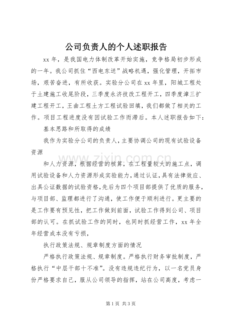 公司负责人的个人述职报告.docx_第1页