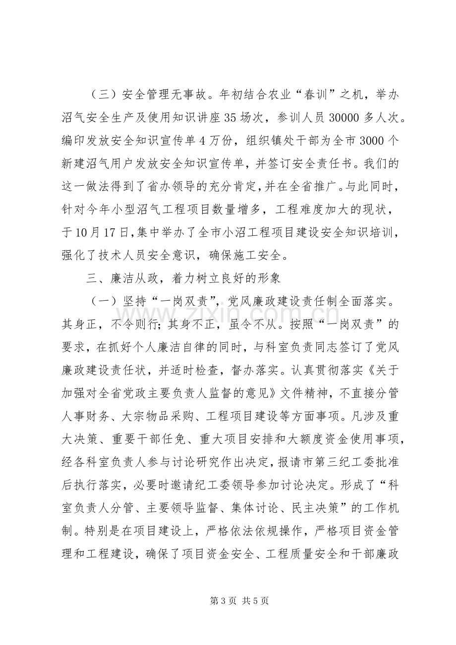 能源办述职述廉报告.docx_第3页