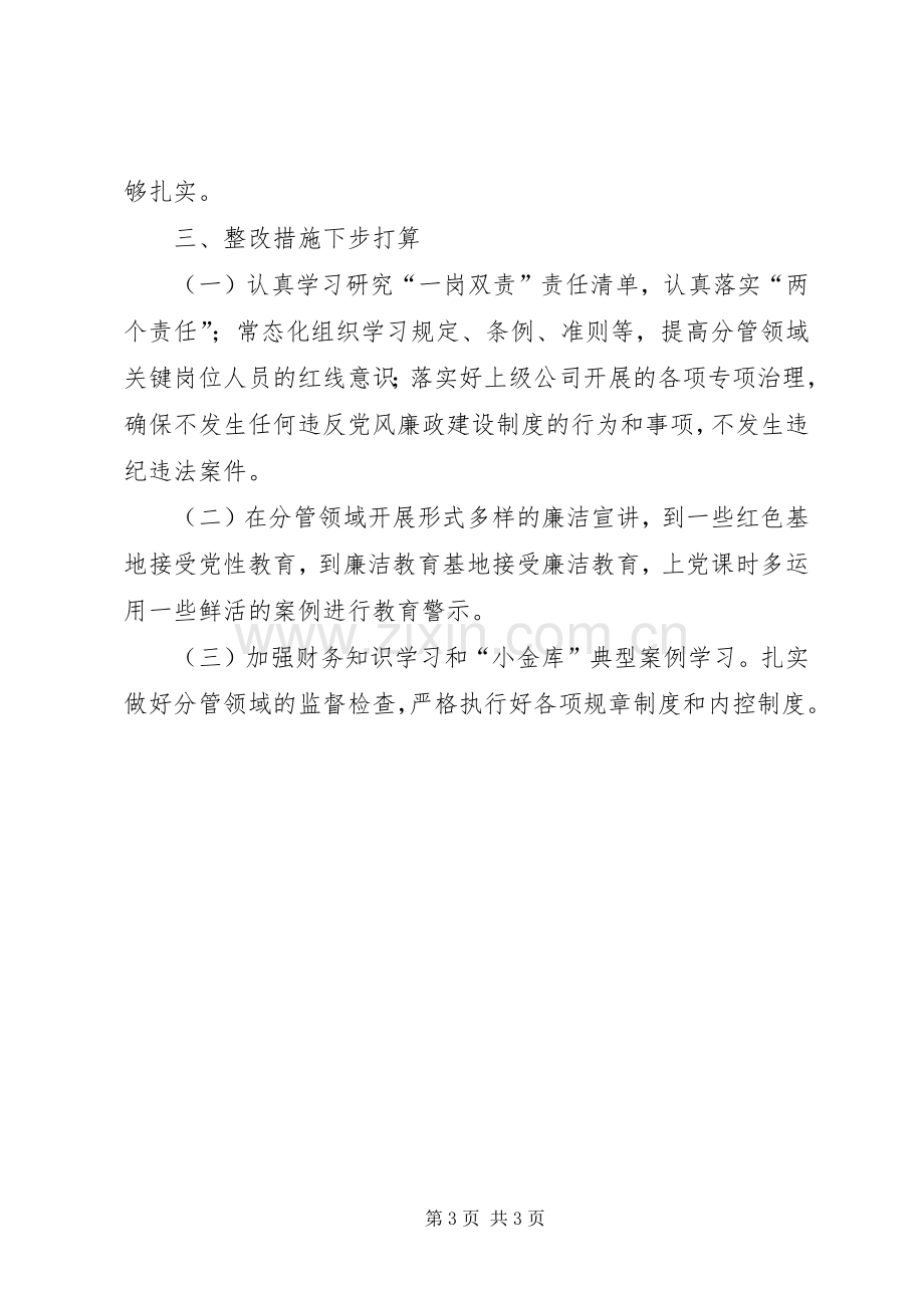 公司副职党员领导干部“一岗双责”职责述职报告.docx_第3页