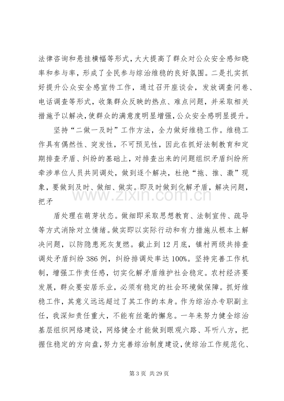 乡镇综治办专职副主任述职述廉报告.docx_第3页