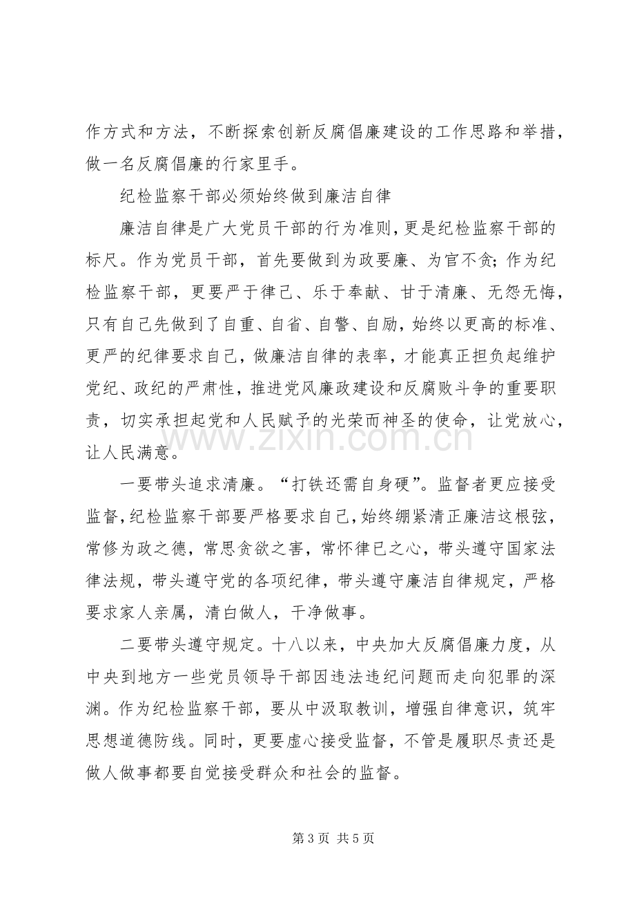 纪检干部践行三严三实心得体会.docx_第3页