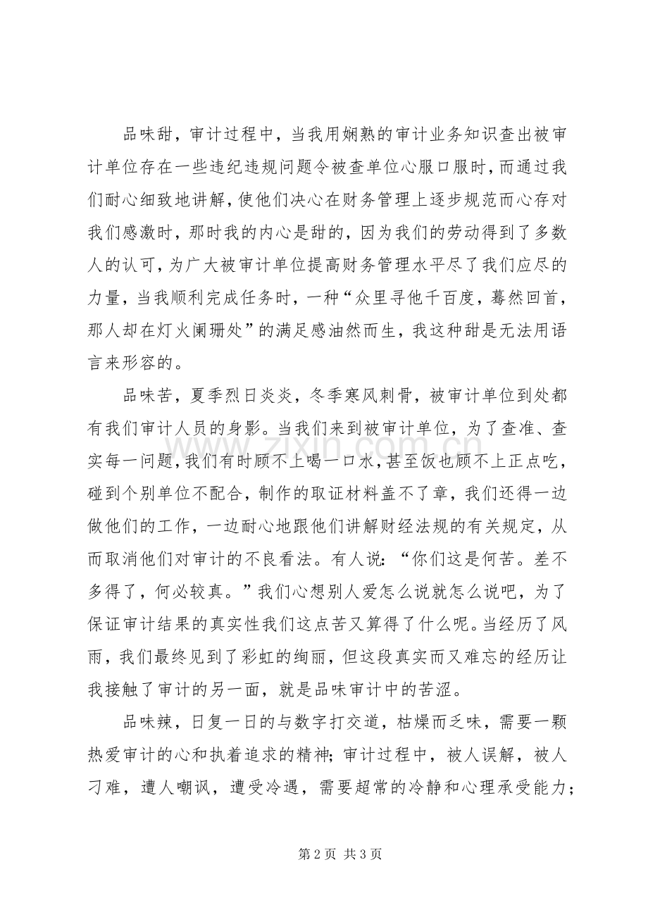 审计工作个人心得体会.docx_第2页