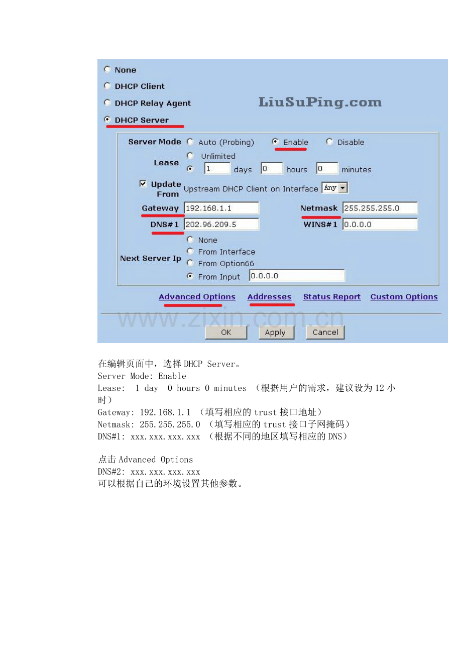 Juniper防火墙新手教程13：Juniper防火墙DHCP服务器配置.doc_第2页