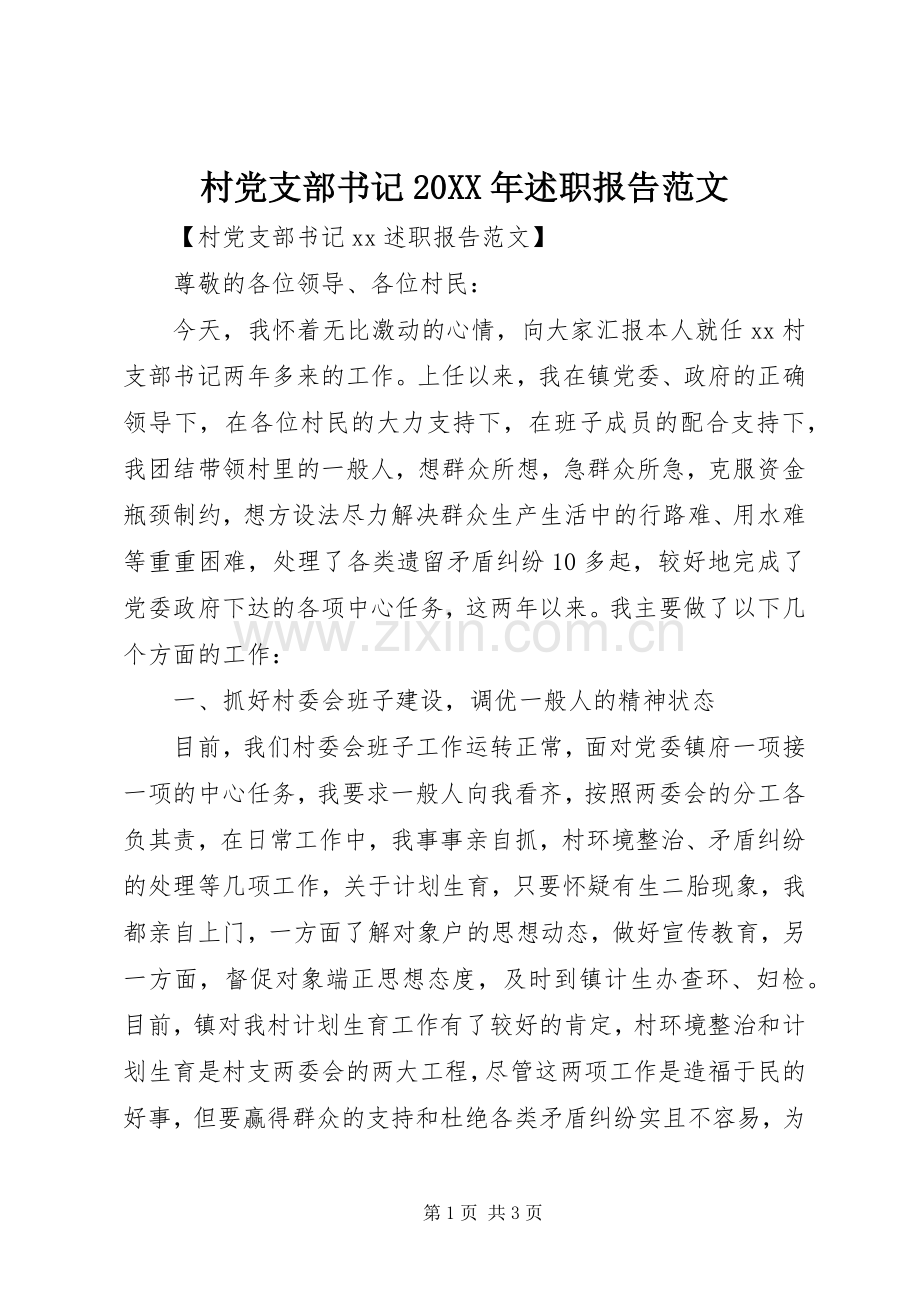 村党支部书记20XX年述职报告范文.docx_第1页