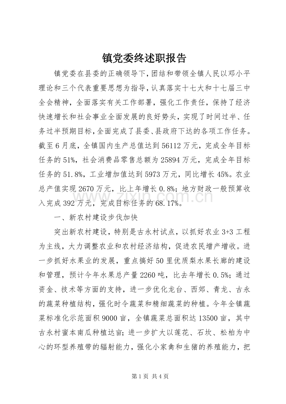 镇党委终述职报告.docx_第1页