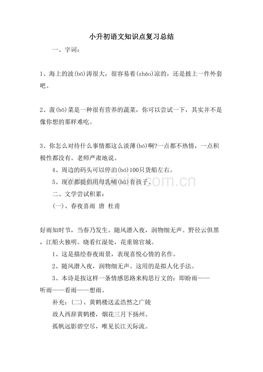 小升初语文知识点复习总结.doc_第1页