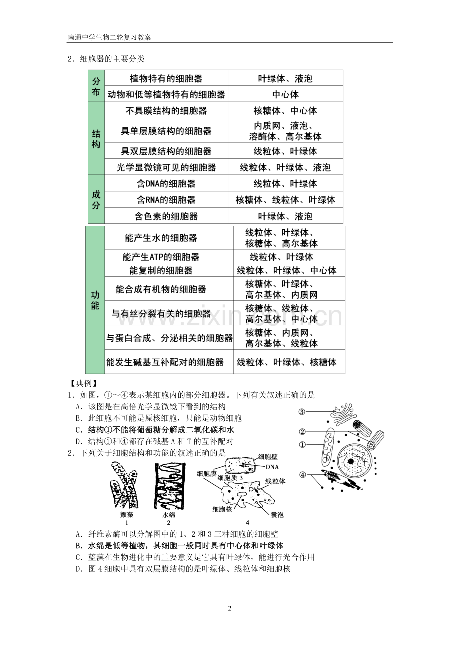 1.2细胞的基本结构(教案).doc_第2页