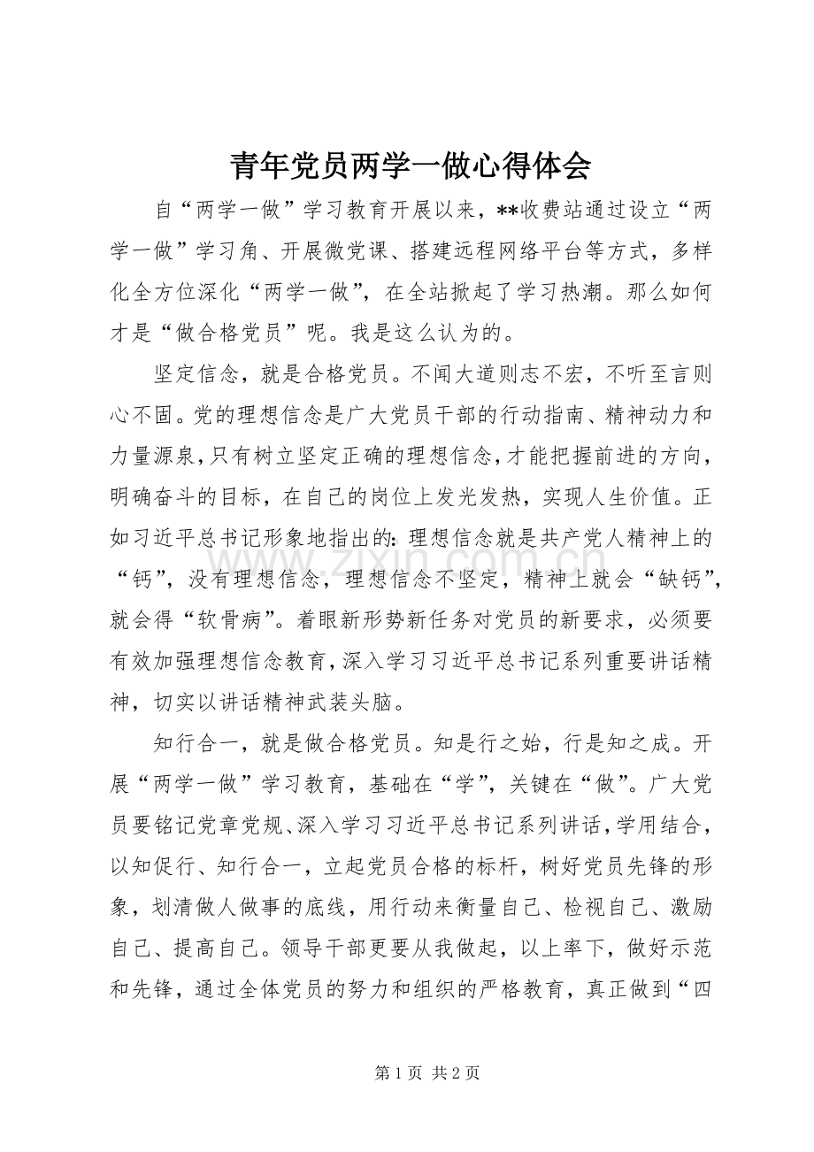 青年党员两学一做心得体会.docx_第1页