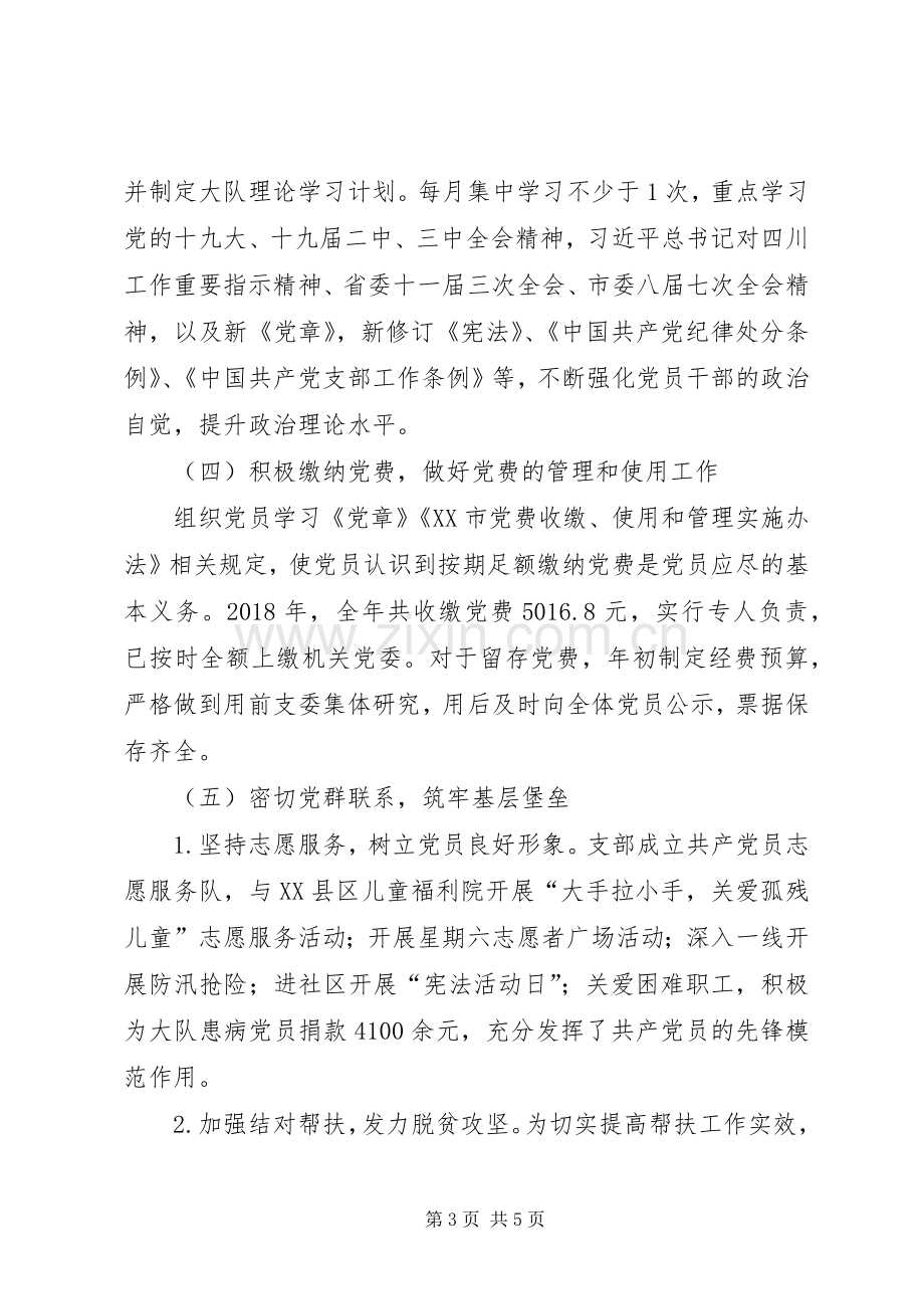 执法支队支部书记述职报告.docx_第3页