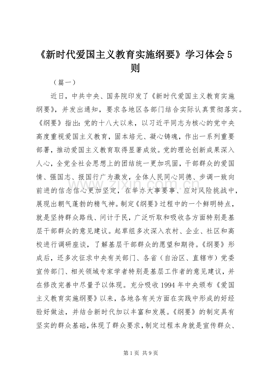 《新时代爱国主义教育实施纲要》学习体会5则.docx_第1页