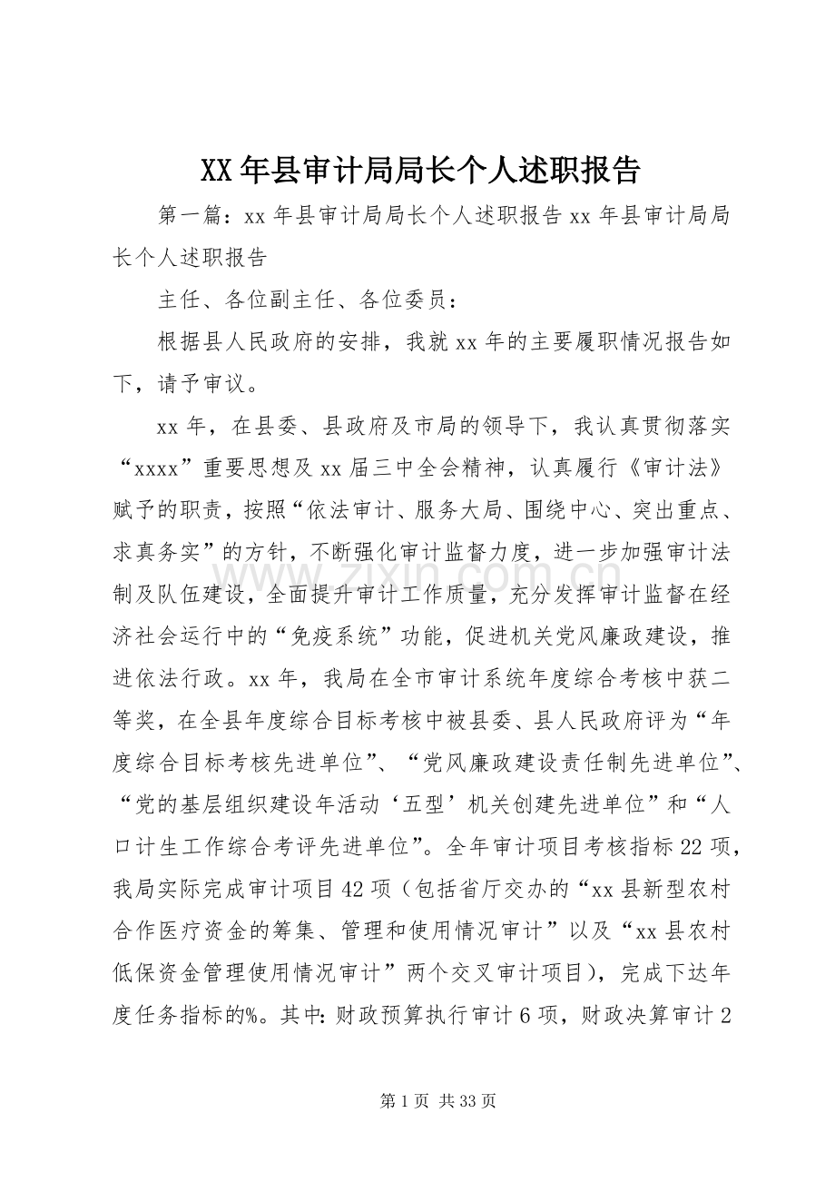 XX年县审计局局长个人述职报告.docx_第1页