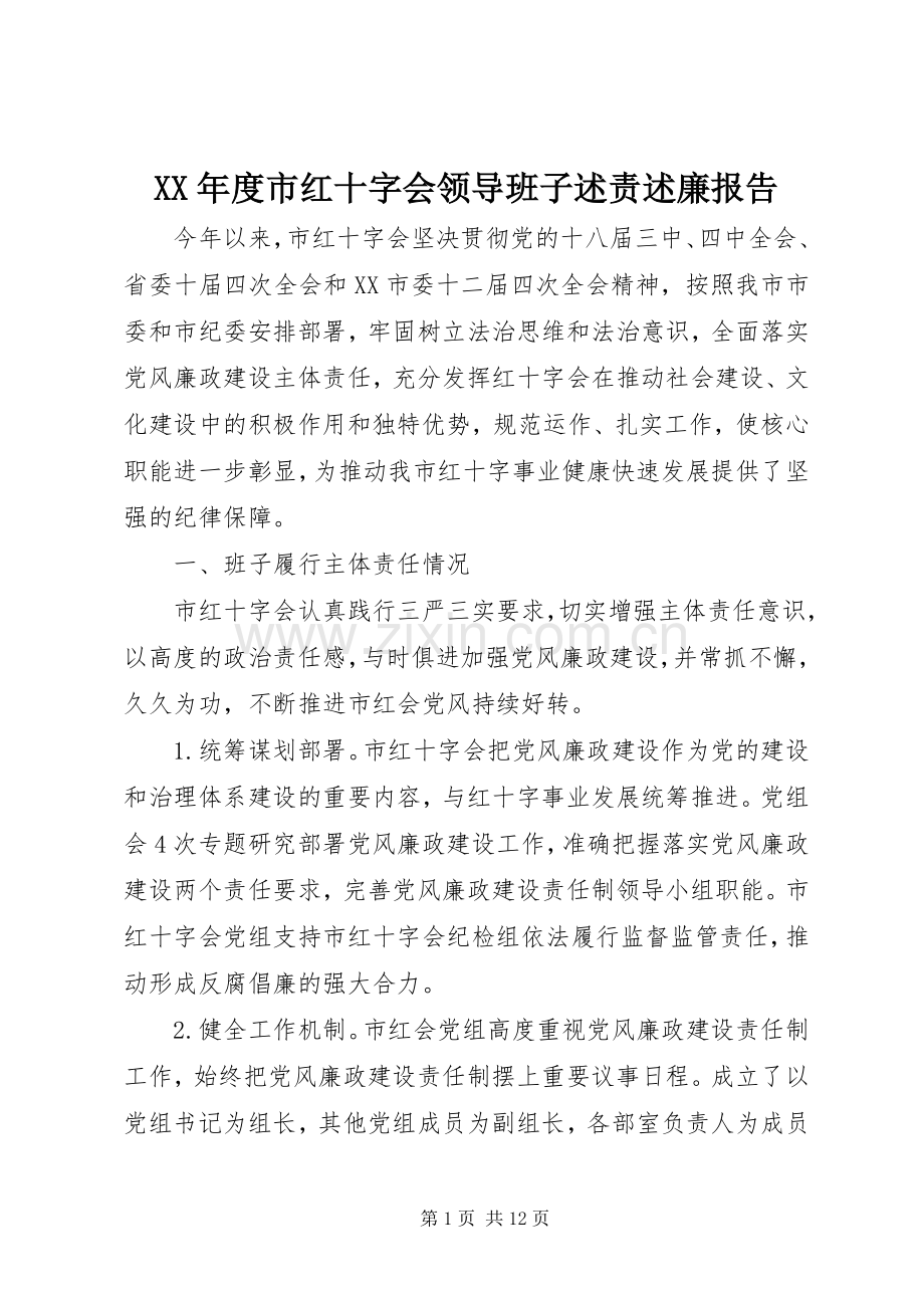 XX年度市红十字会领导班子述责述廉报告.docx_第1页