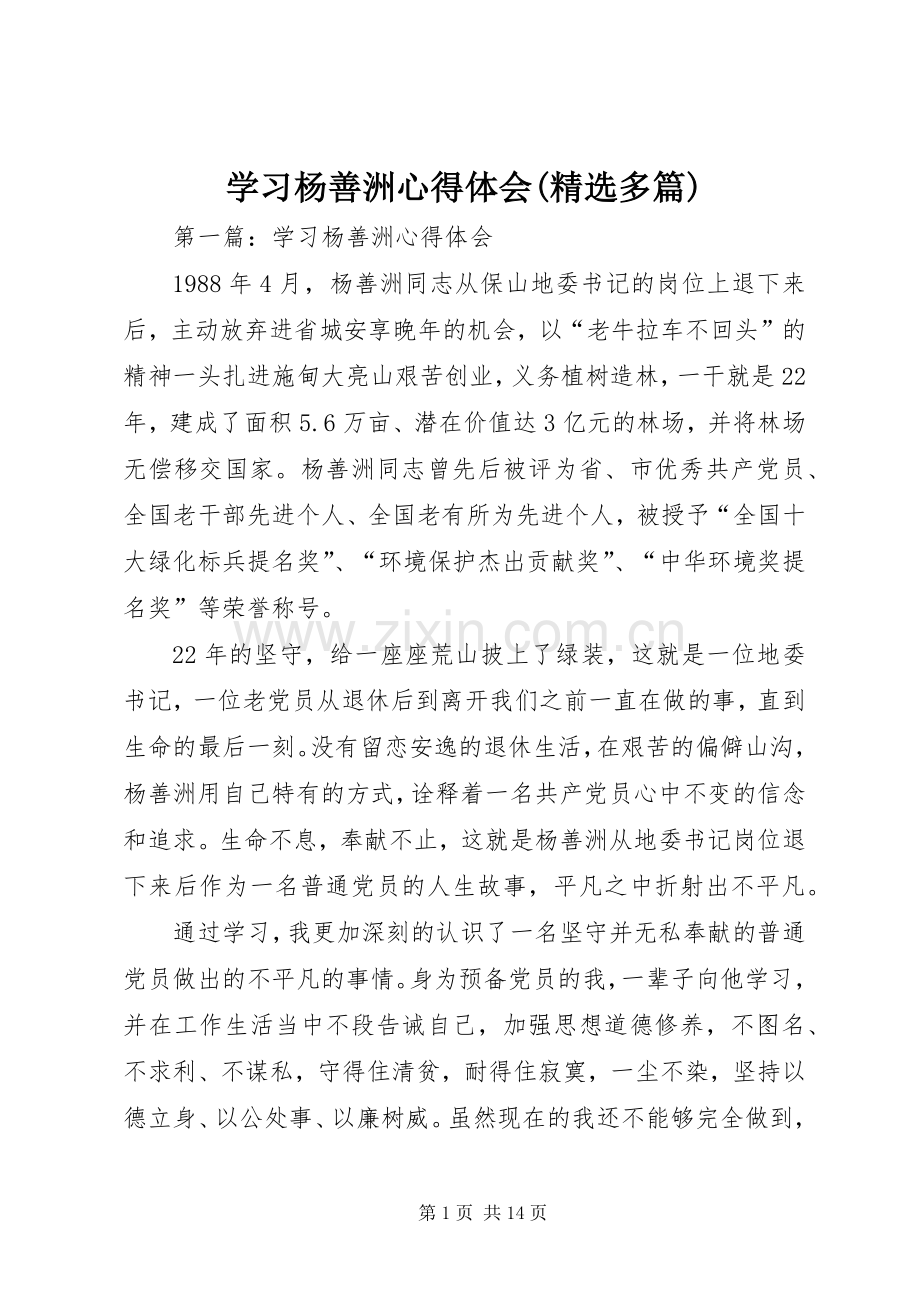 学习杨善洲心得体会(多篇).docx_第1页