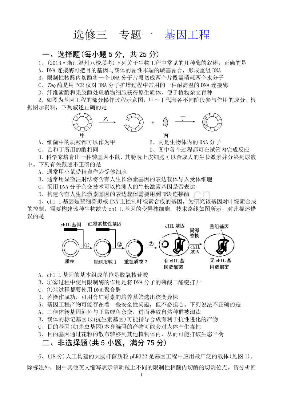 专题一基因工程 单元测试题.doc_第1页