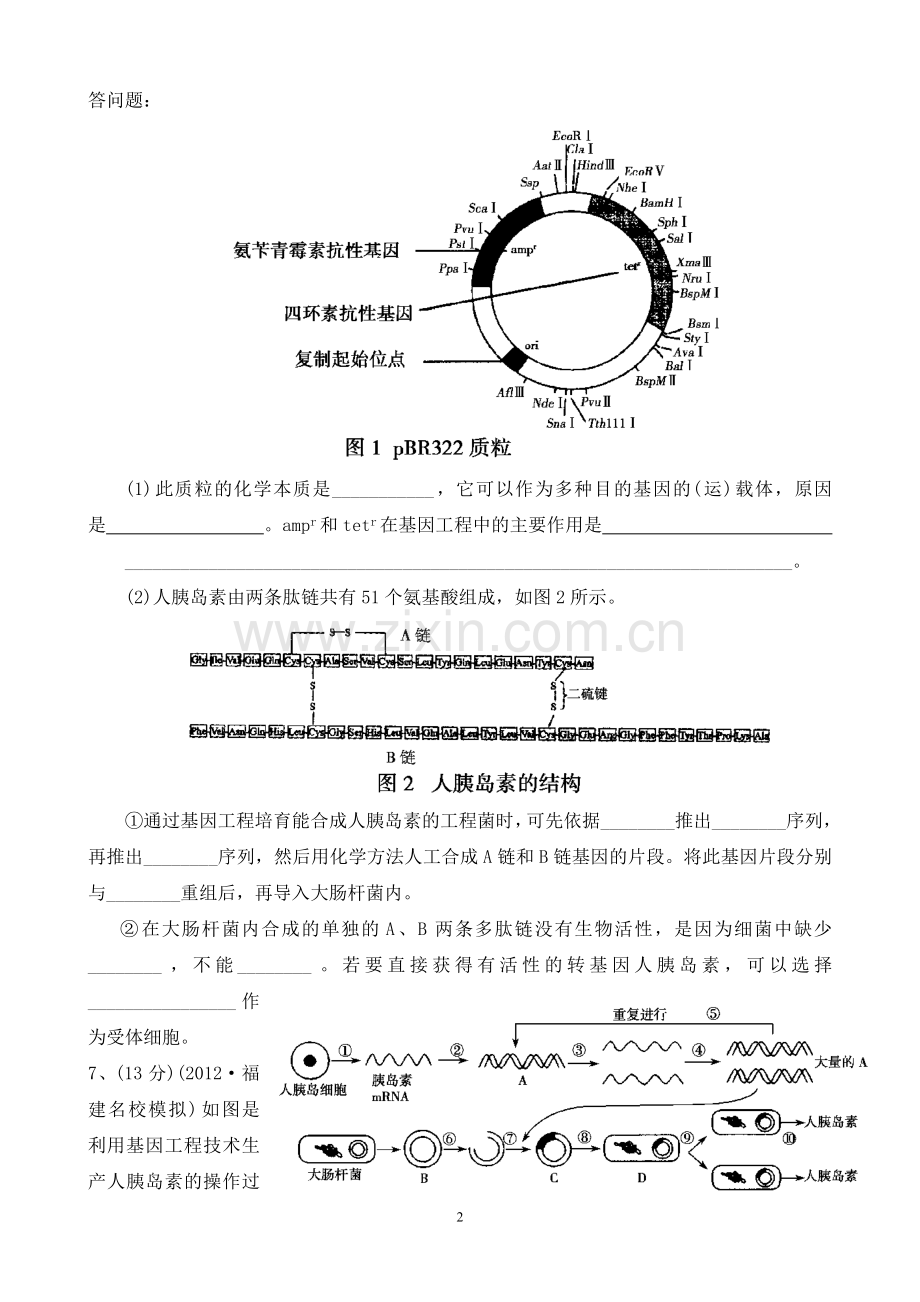 专题一基因工程 单元测试题.doc_第2页