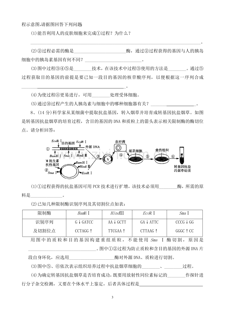 专题一基因工程 单元测试题.doc_第3页