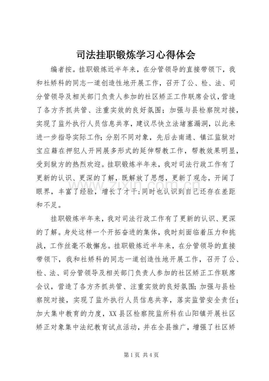 司法挂职锻炼学习心得体会.docx_第1页