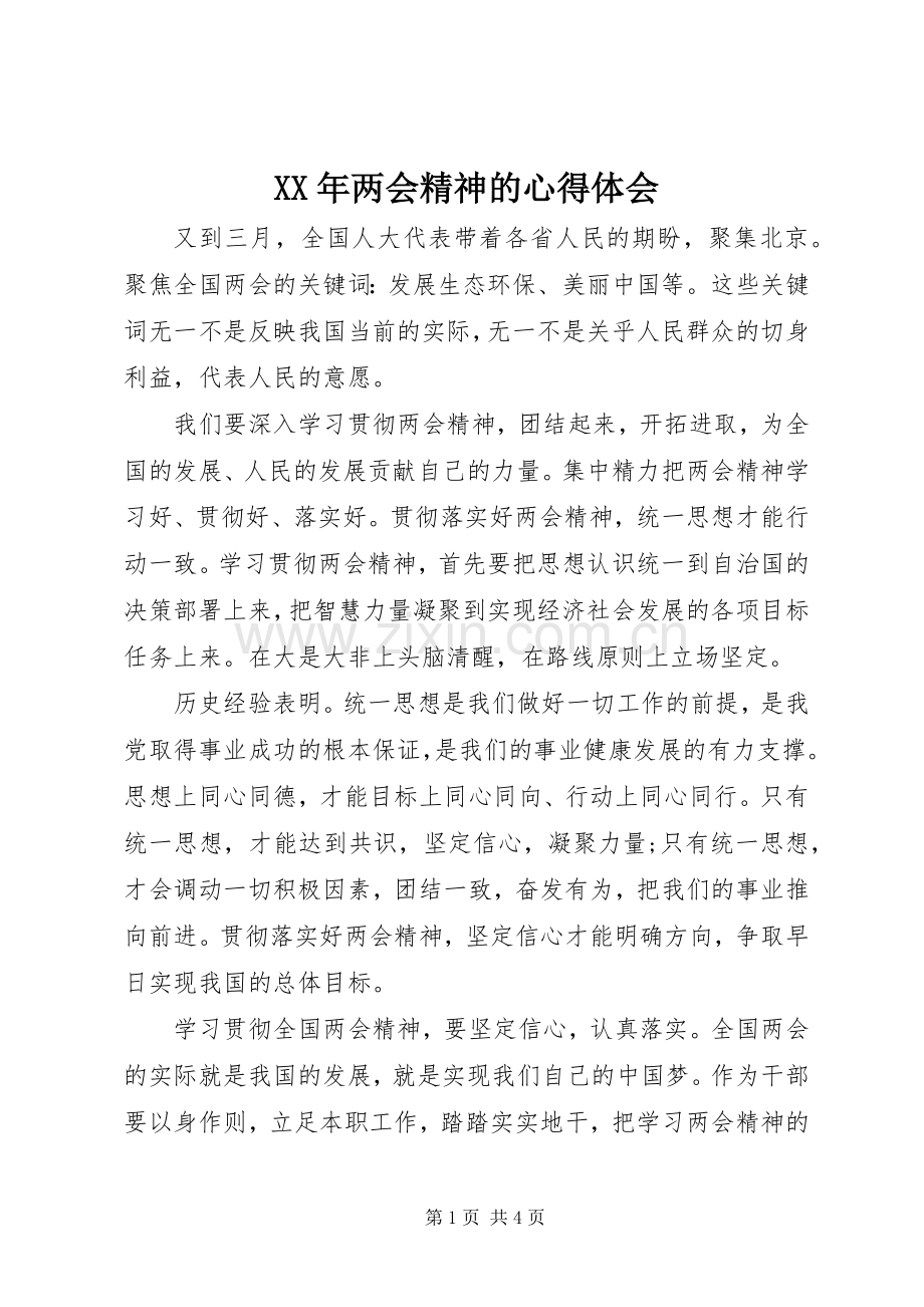 XX年两会精神的心得体会.docx_第1页