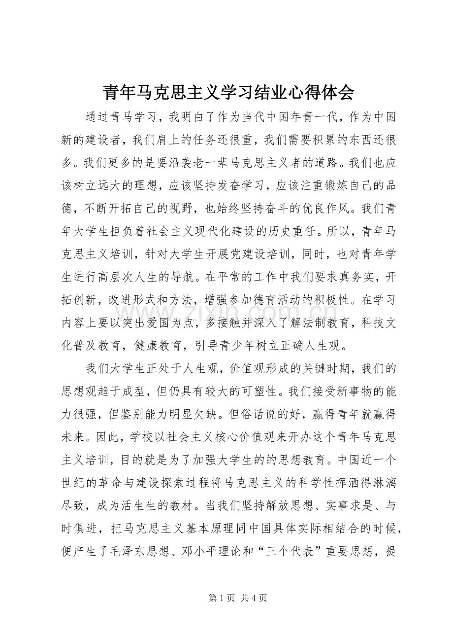 青年马克思主义学习结业心得体会.docx_第1页