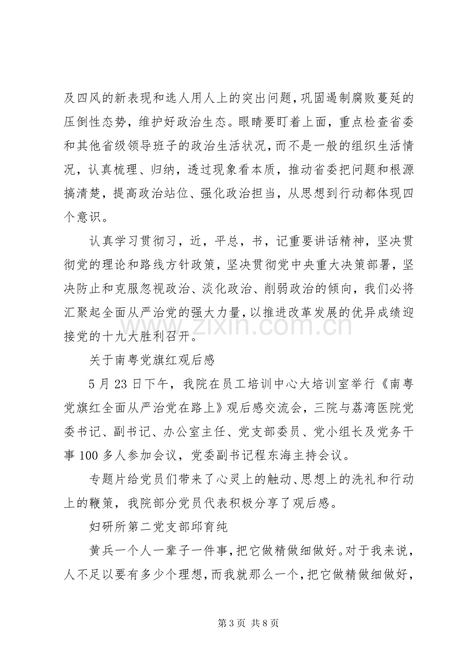 观南粤党旗红心得体会.docx_第3页