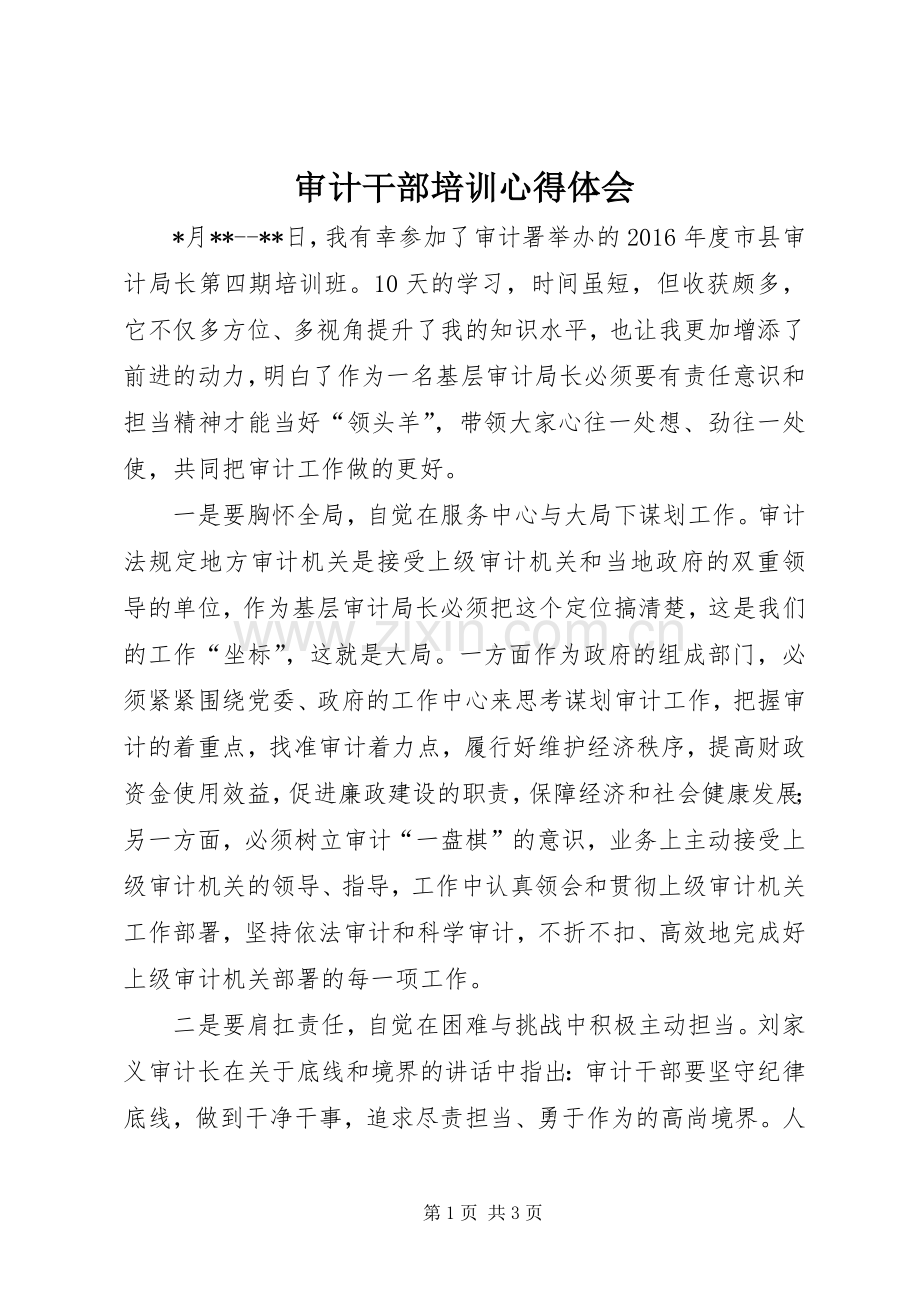 审计干部培训心得体会.docx_第1页