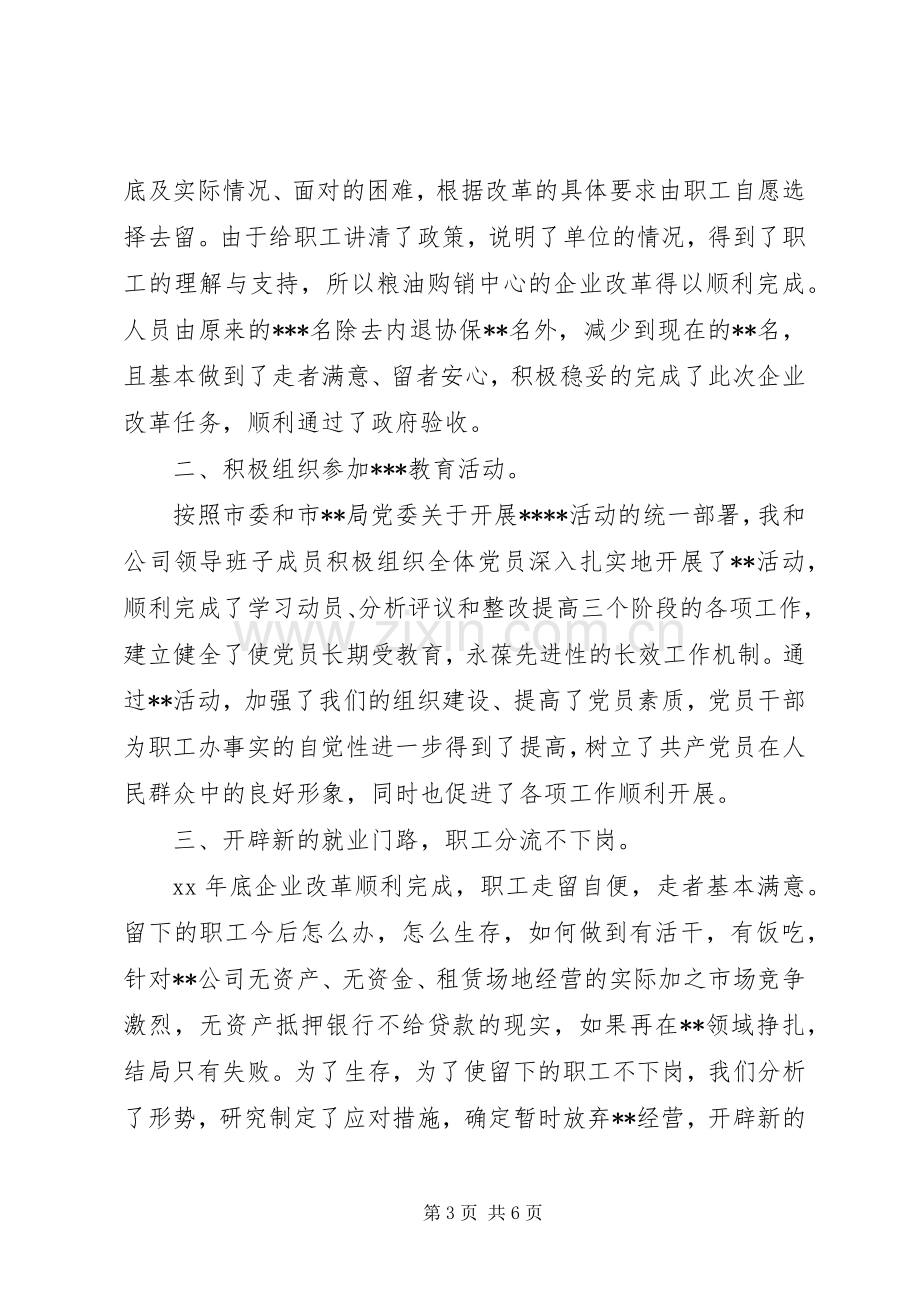 XX年企业领导述职报告.docx_第3页