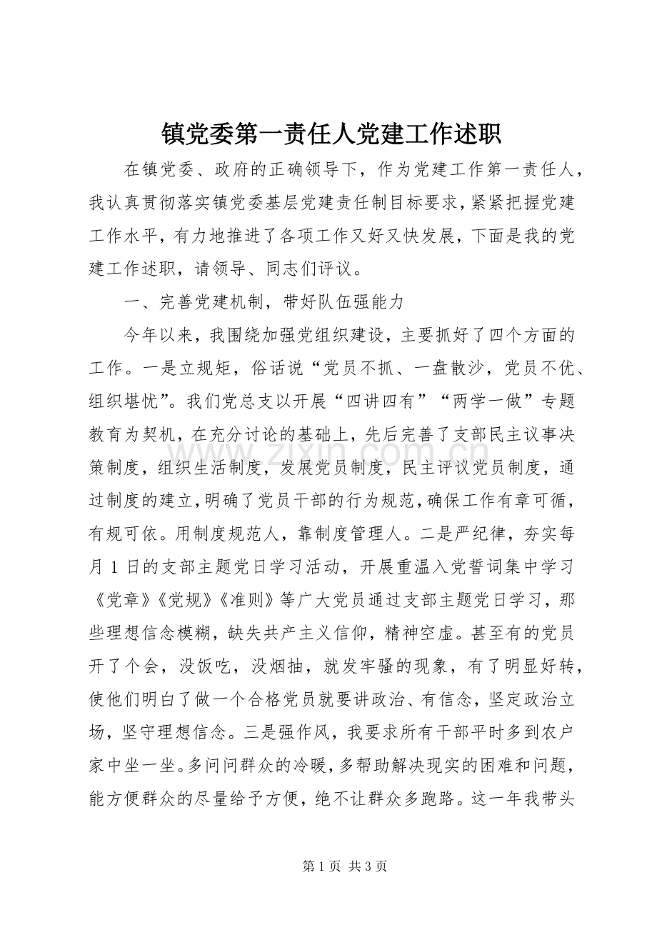 镇党委第一责任人党建工作述职.docx_第1页